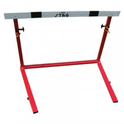 STAG Hurdle School Model